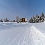 Waldrand Apartment Ramsau am Dachstein