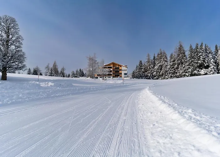 Waldrand Daire Ramsau am Dachstein