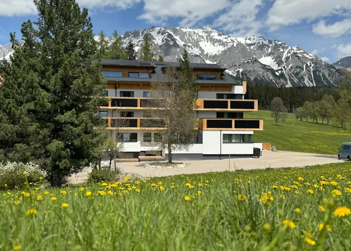 Waldrand Ramsau am Dachstein